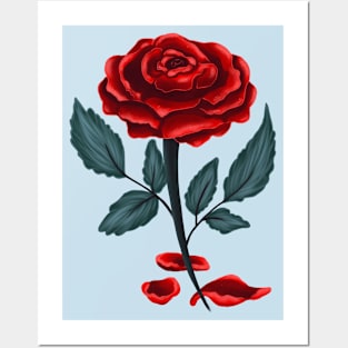 Red rose Posters and Art